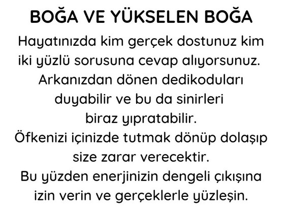 haftalık16 (3).jpg