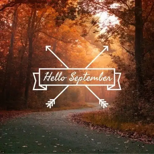 hello-september-tumblr-1.webp