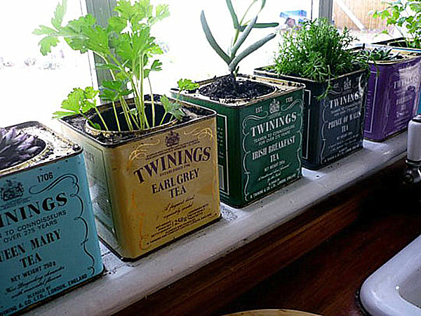 herb-windowsill-garden1.jpg