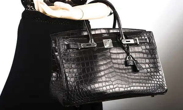 Hermes-Matte-Crocodile-Birkin-Bag.webp