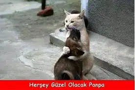 herşeygüzelolacak.webp