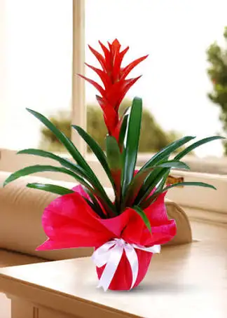 images (7).webp