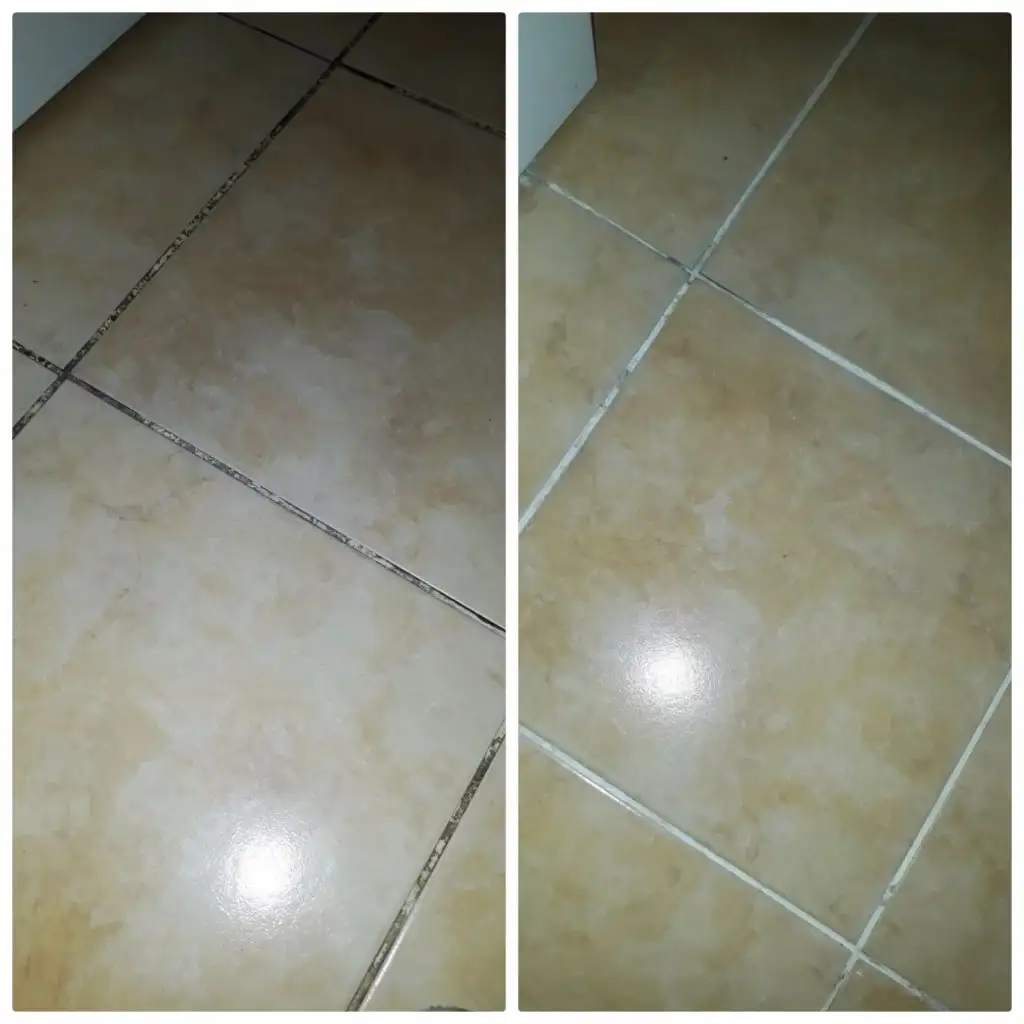 IMG_20191224_100054.webp