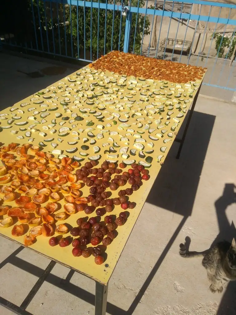IMG_20220729_084953.webp