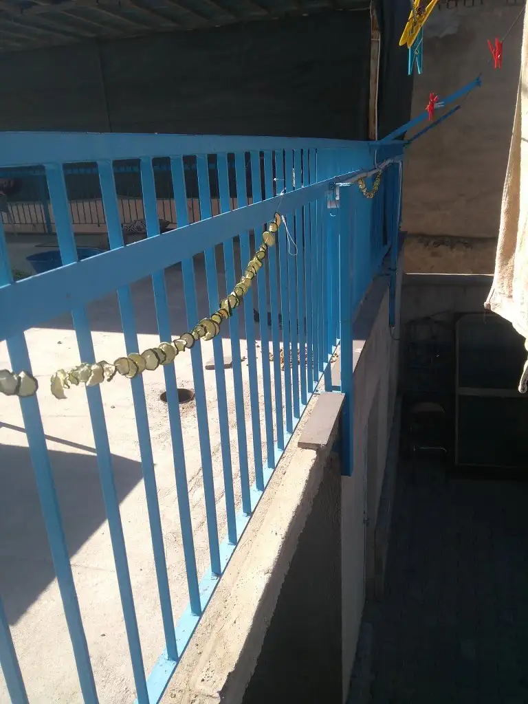 IMG_20220729_085021.webp