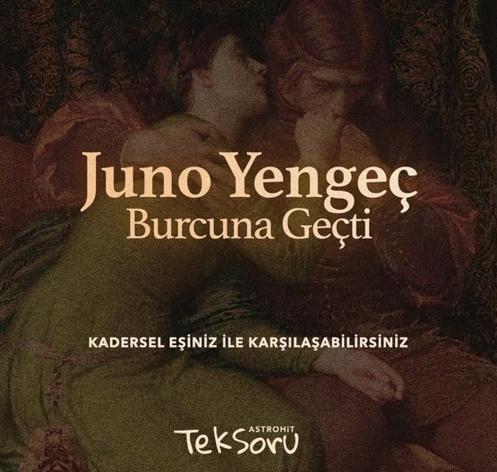 juno yengeç (1).jpg