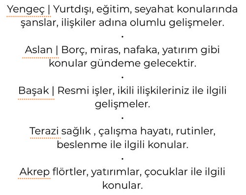 jüpi balık 1 (3).jpg