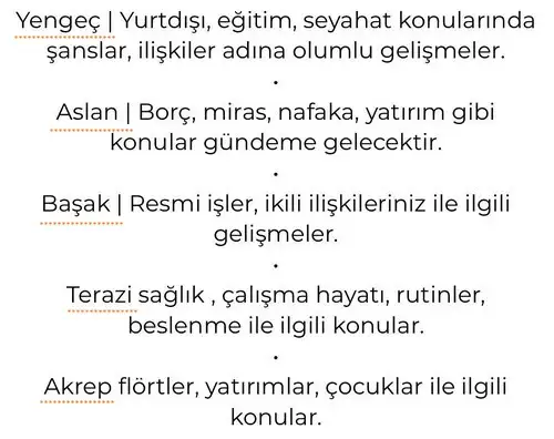 jüpi balık 1 (3).webp