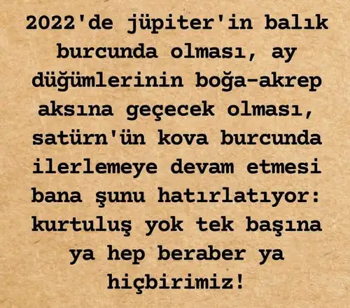 jüpi balık (5).webp