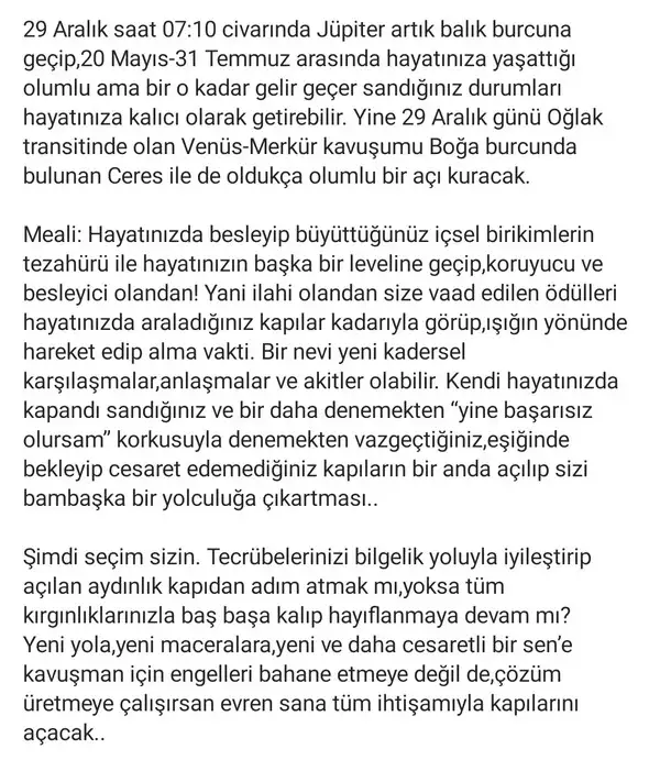 jüpi balık2 (2).webp