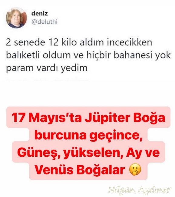 jüpi boğa.jpg