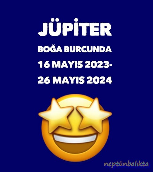 jüpi boğa1 (1).jpg