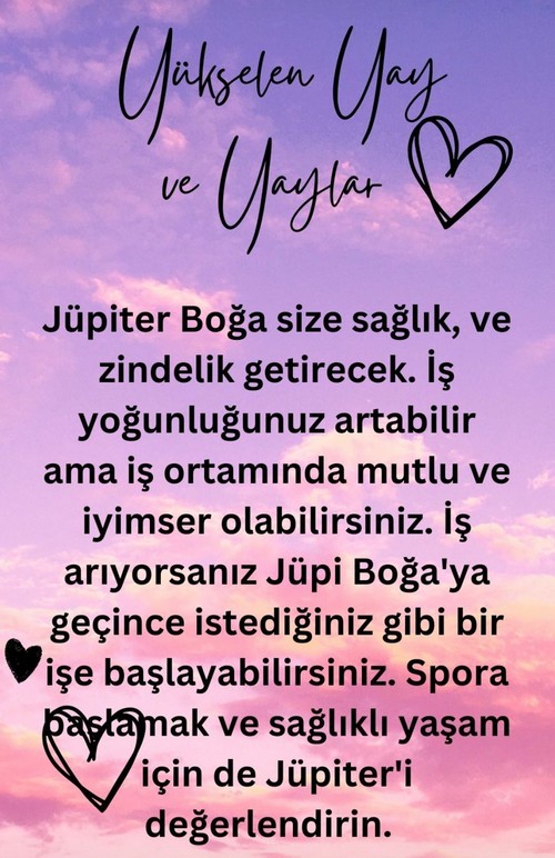 jüpi boğa1 (10).jpg