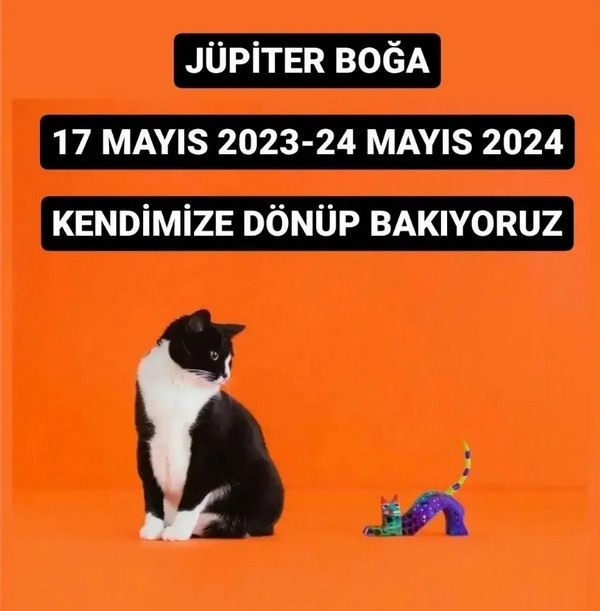 jüpi boğa90 (1).jpg