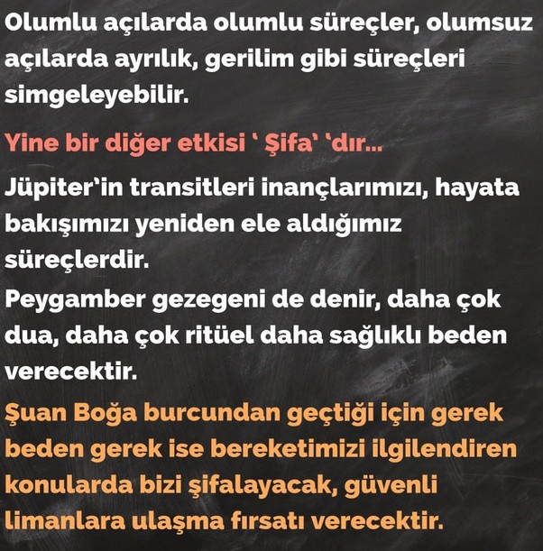 jüpi boğa90 (12).jpg