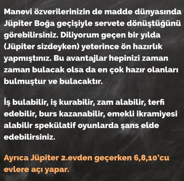 jüpi boğa90 (17).jpg