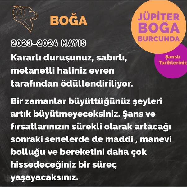 jüpi boğa90 (21).jpg