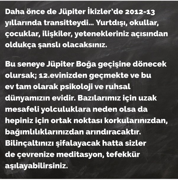 jüpi boğa90 (26).jpg