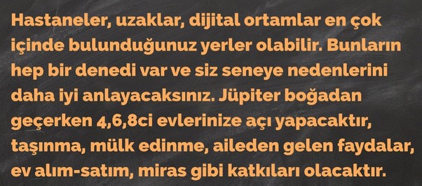 jüpi boğa90 (28).jpg