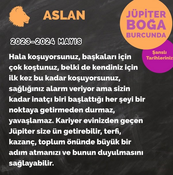 jüpi boğa90 (35).jpg