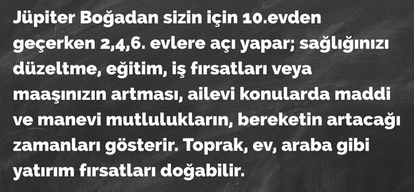 jüpi boğa90 (37).jpg