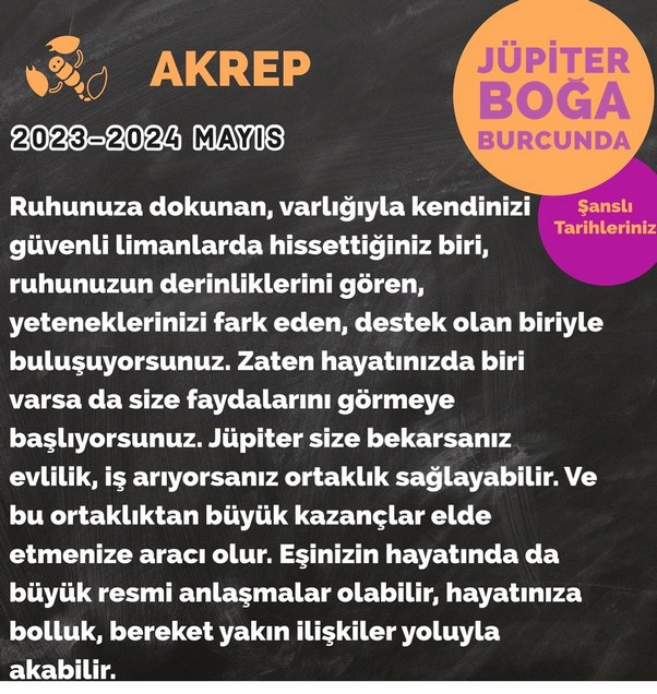 jüpi boğa90 (47).jpg