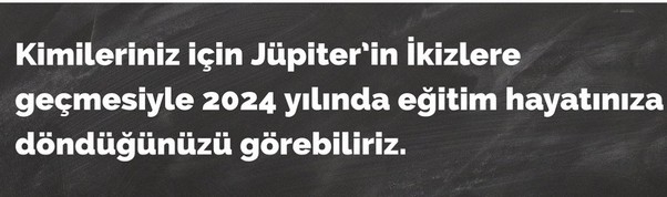 jüpi boğa90 (62).jpg