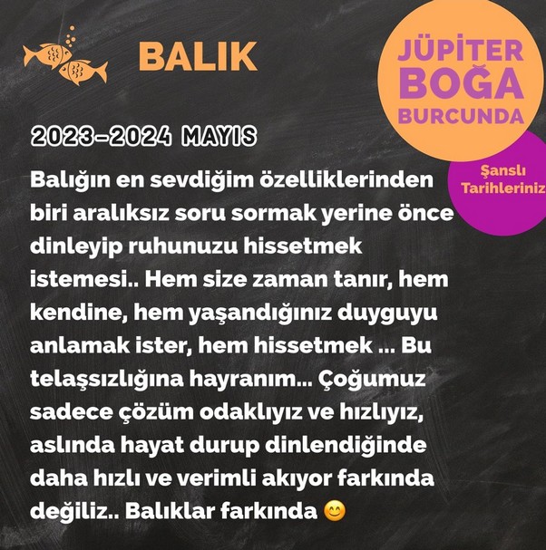 jüpi boğa90 (64).jpg