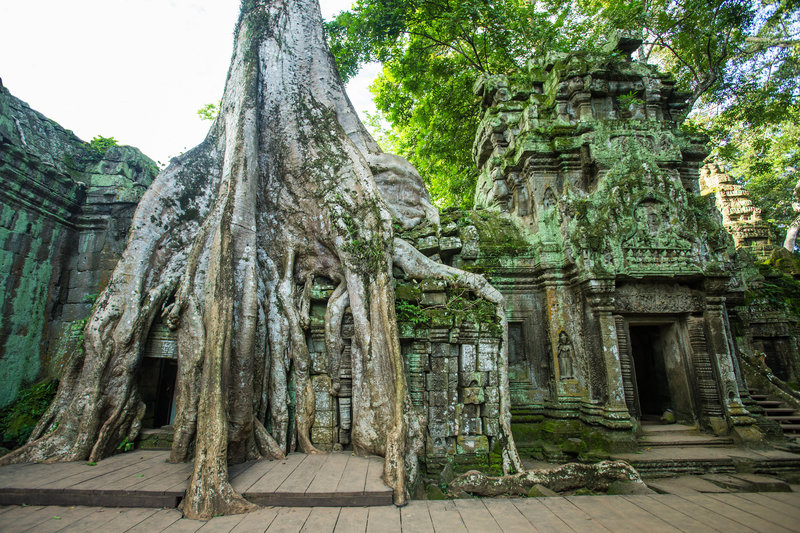 kamboçya-daki-ta-prohm-tapınağı.jpg