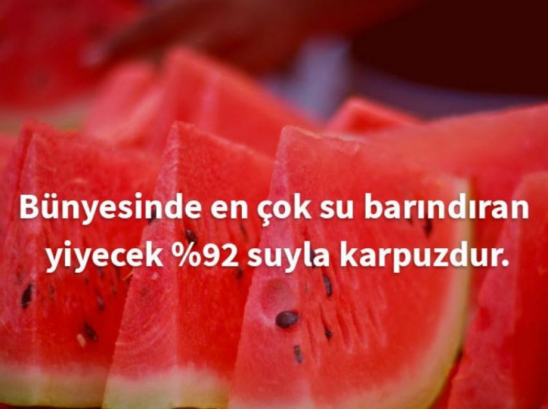 karpuz1-734199.jpg