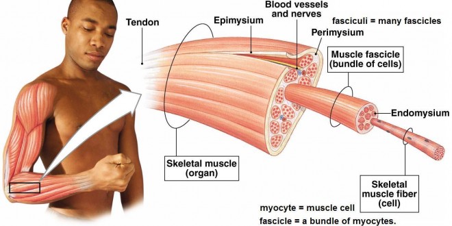 kas-sistemi-660x330.jpg