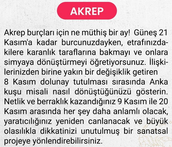 kasım aylık6 (12).jpg