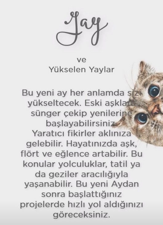 koç yeniayı 1 (11).jpg