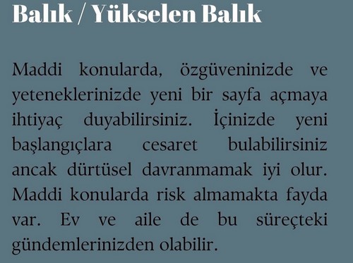 koç yeniayı 15 (13).jpg