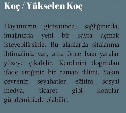 koç yeniayı 15 (2).jpg