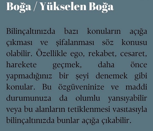 koç yeniayı 15 (3).jpg