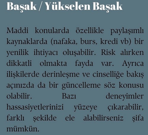 koç yeniayı 15 (7).jpg