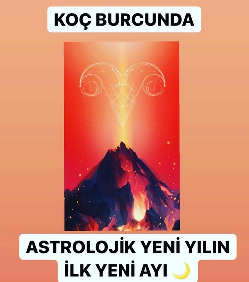 koç yeniayı 2 (1).jpg