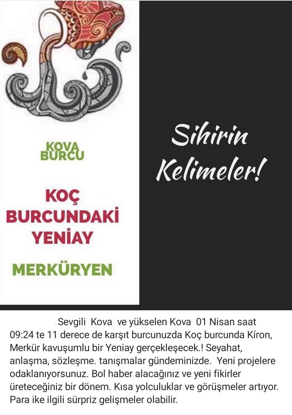 koç yeniayı 2 (11).jpg