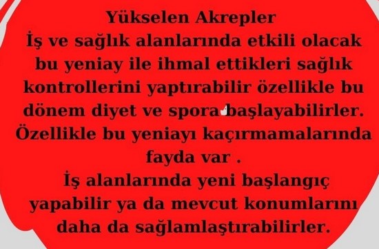 koç yeniayı 28 (10).jpg