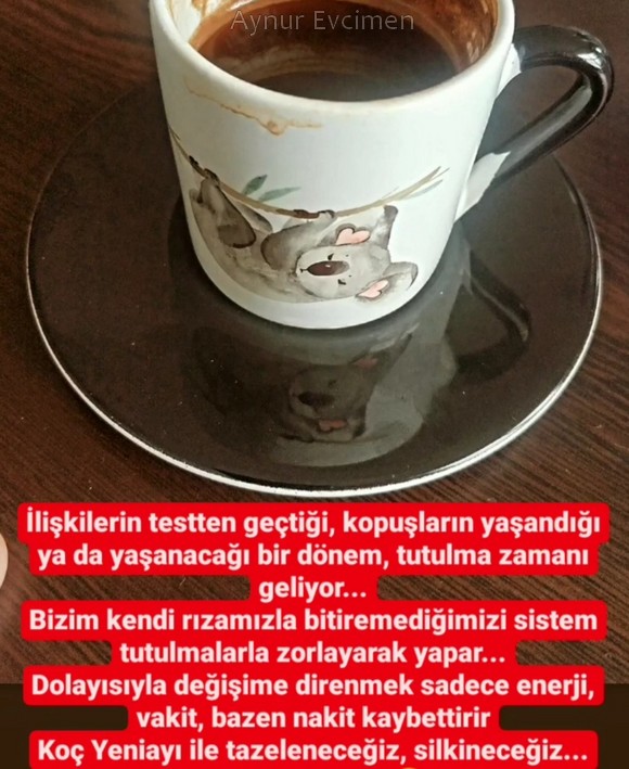 koç yeniayı 5.jpg