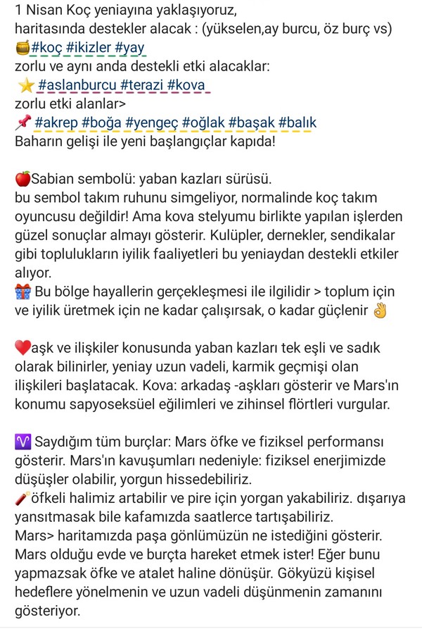 koç yeniayı 9 (2).jpg