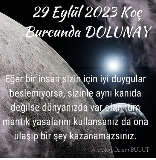 koç2 (1).jpg