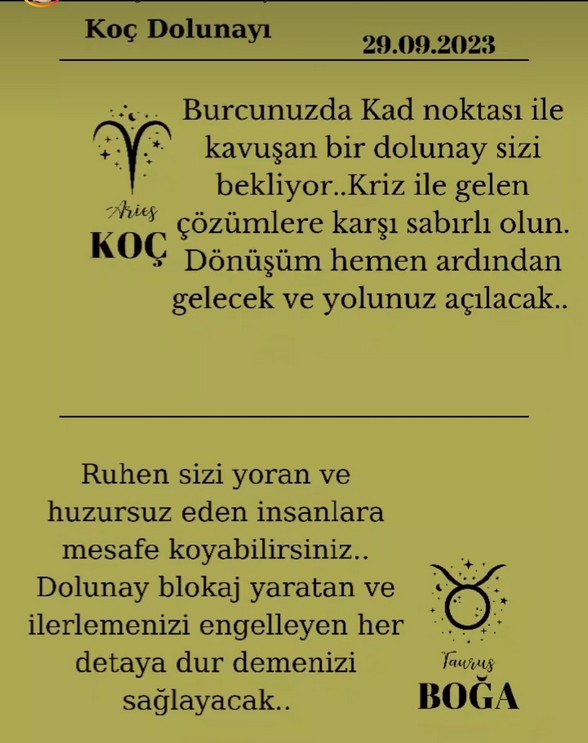 koç88 (1).jpg