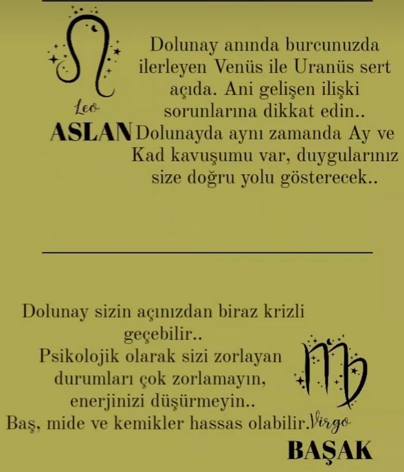 koç88 (3).jpg