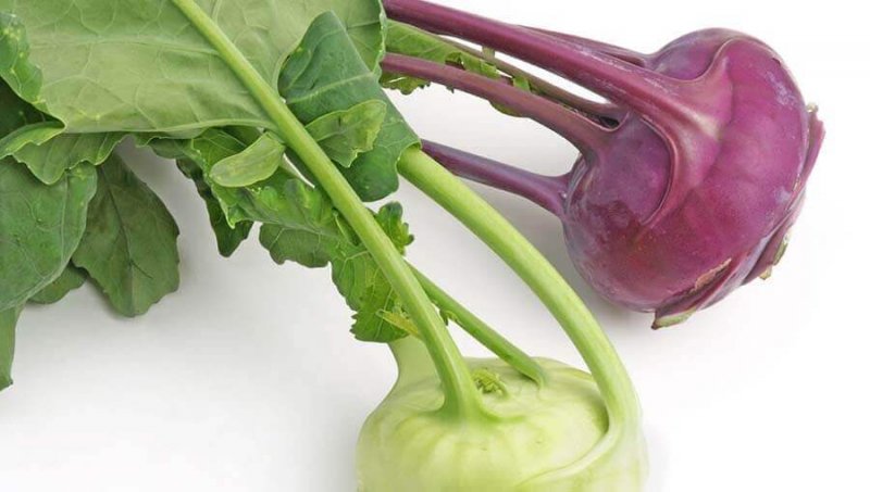 kohlrabi-alabas.jpg