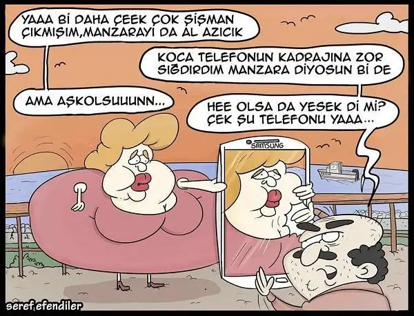 manzarayi-da-cek-karikaturu-seref-efendiler.webp