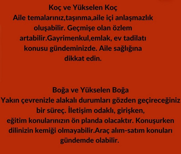 mars yengeç18 (2).jpg