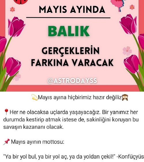 mayıs aylık17 (13).jpg