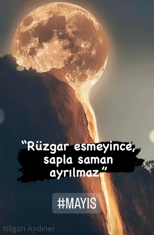 mayıs.jpg